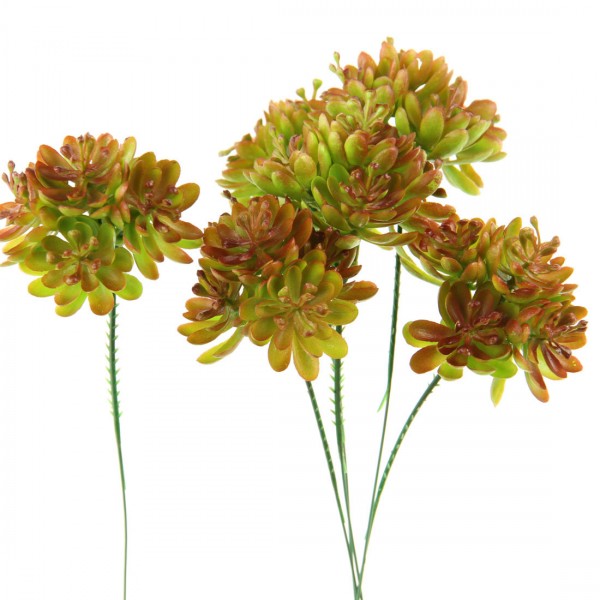 GEM.LOTUS SUCCULENT PICK 6/BG
