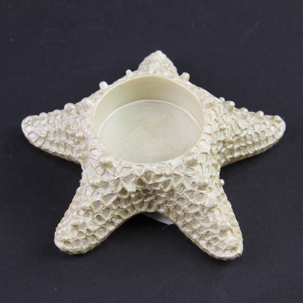 COASTAL SHELL T/L HLDR A4
