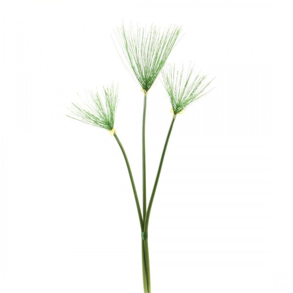 25"PAPYRUS STEM 3/BU A4