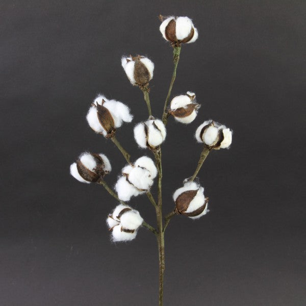 18.5"POD BUD SPRAY NATURAL