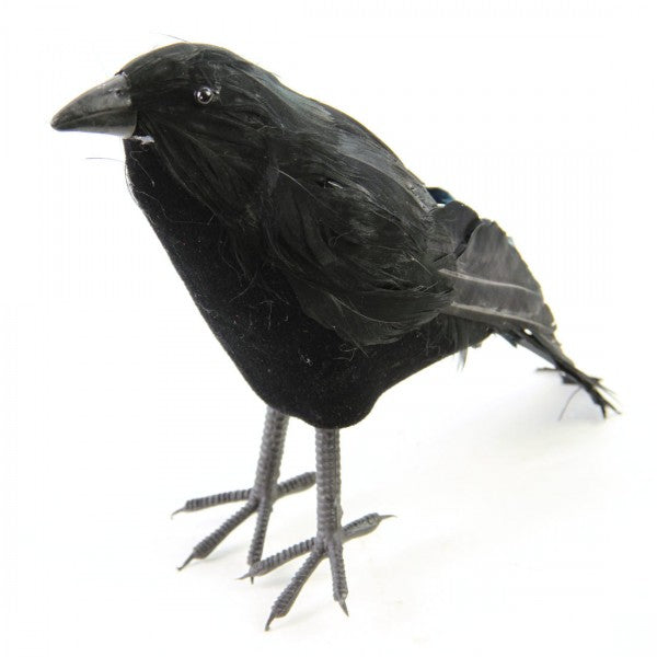 10" X 5.75" FEATHER CROW