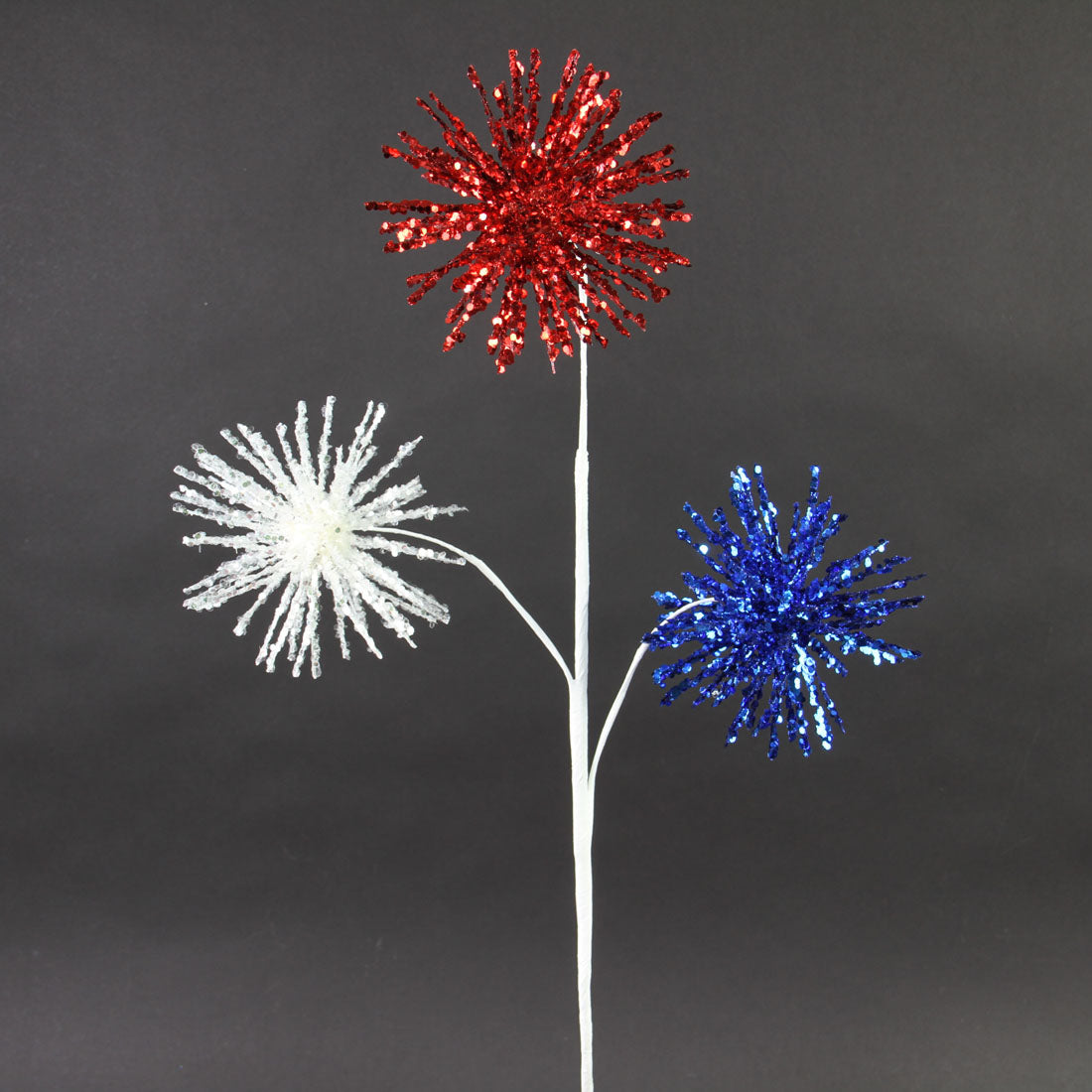 25"HEXAGON STARBURST SPRAY