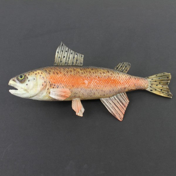 15"RAINBOW TROUT A25