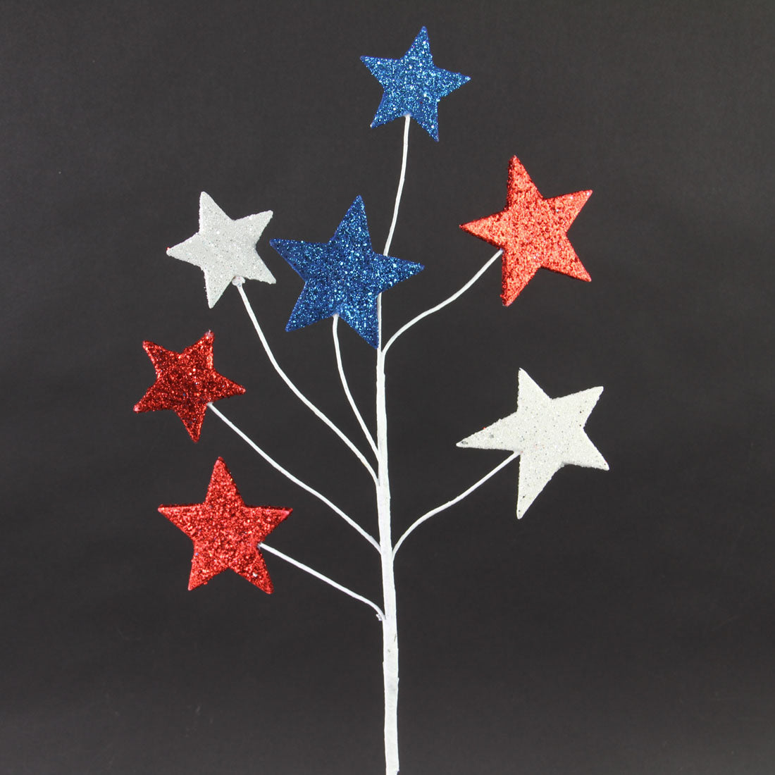 24"GLITTER/EVA STAR SPRAY