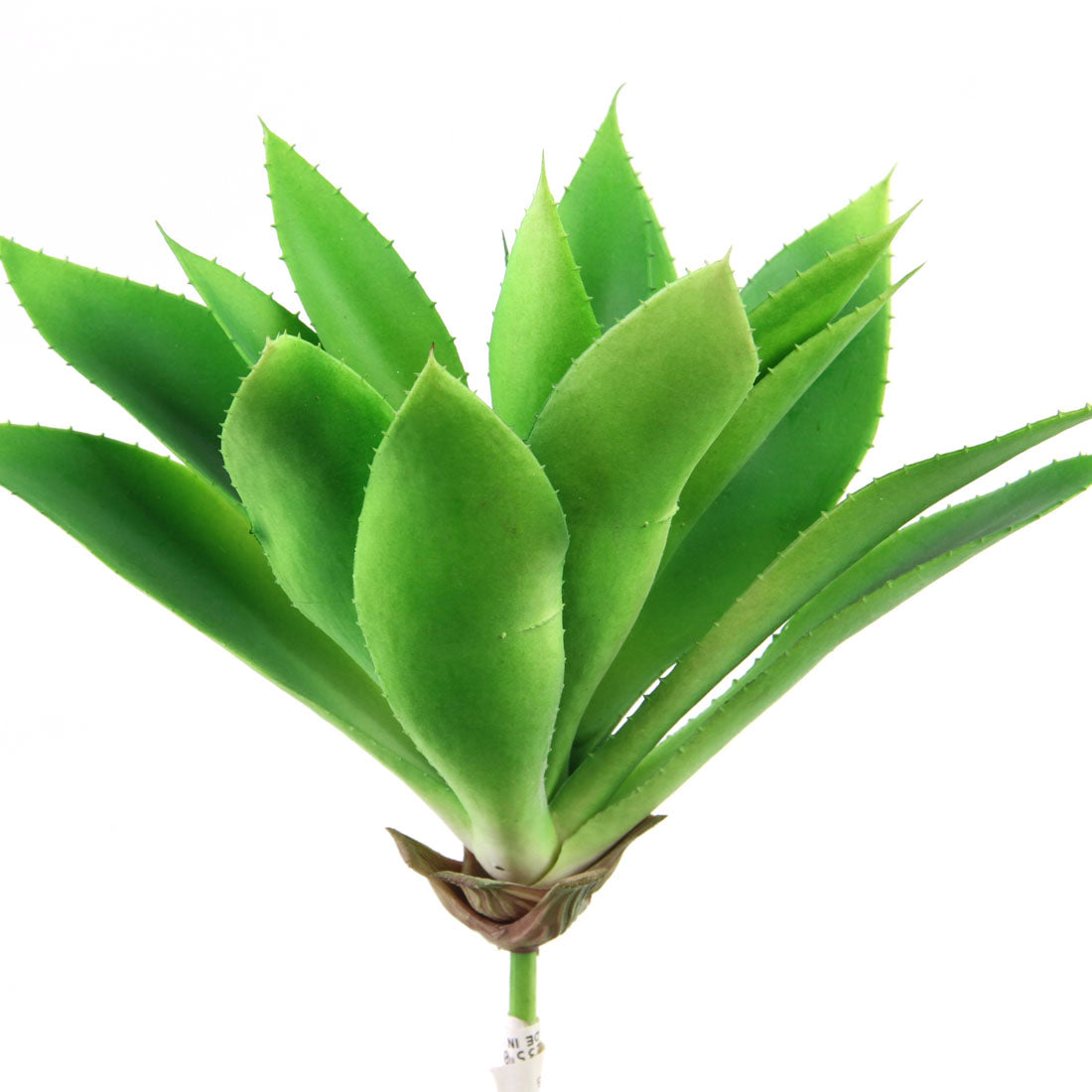 8.5" SUCCULENT GREEN