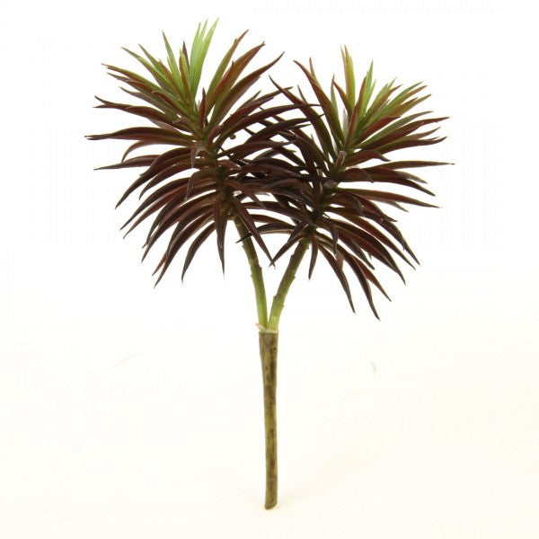 8"SUCCULENT BURGUNDY