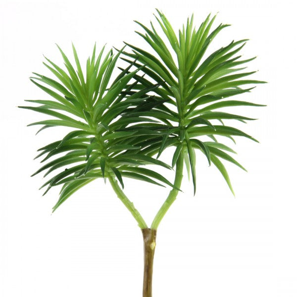 8"SUCCULENT GREEN