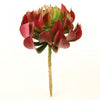 7"SUCCULENT BURGUNDY