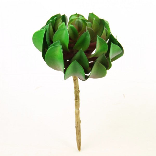 7"SUCCULENT MAUVE/GREEN