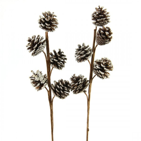 14.5"PINECONE SPRAY 2/BG