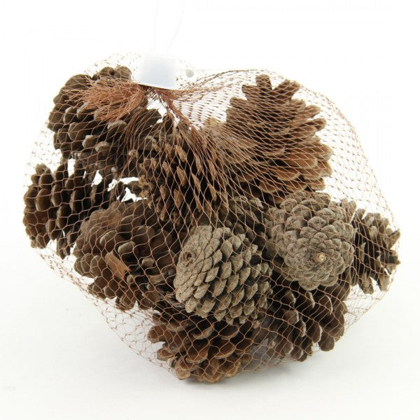 2"PINE CONE 12PC/BAG