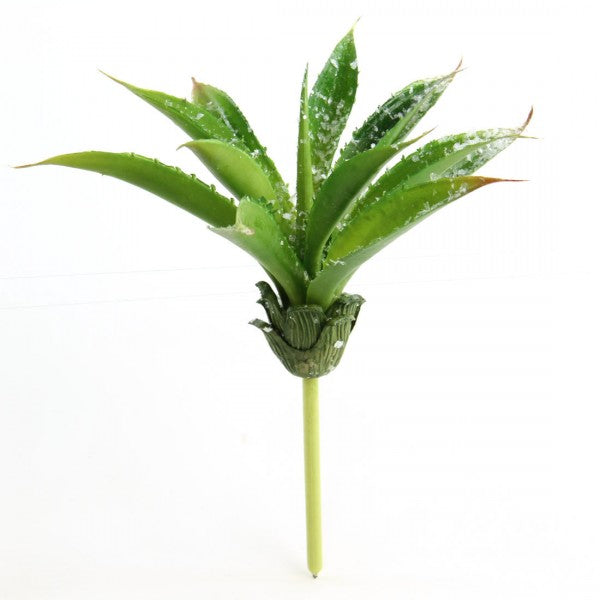 9.5"SNGL SUCCLENT W/ICE GRN A4
