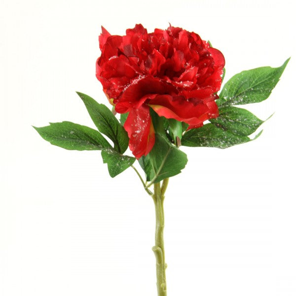 14"SINGLE PEONY W/ICE RED A4