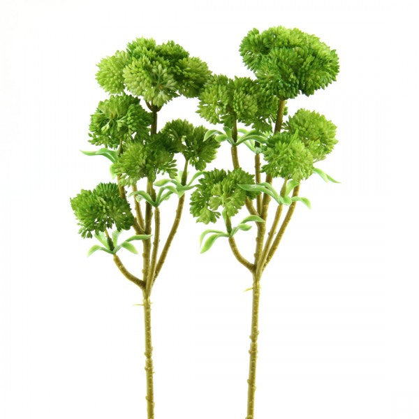 13.5"SEDUM SPRAY 2/BG LT.GRN