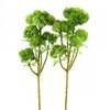 13.5"SEDUM SPRAY 2/BG LT.GRN