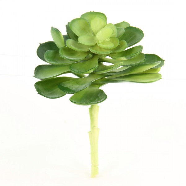 7.5"SUCCULENT GREEN