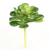 7.5"SUCCULENT GREEN