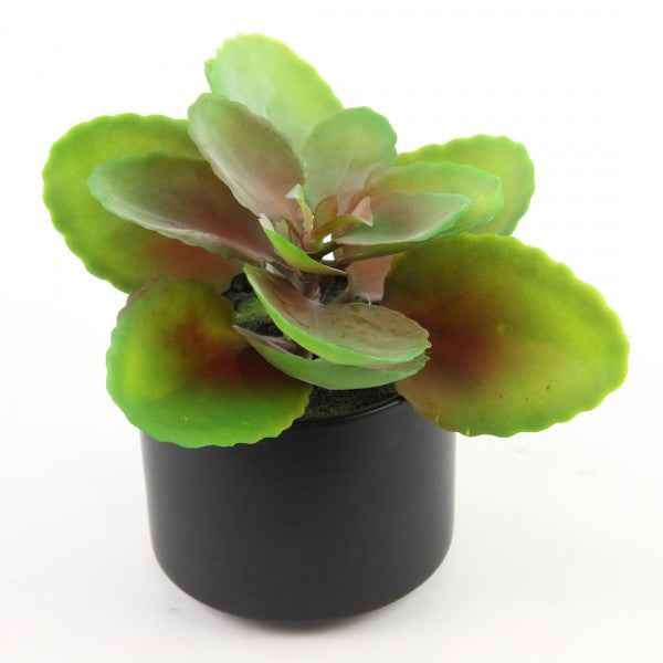 7.5" SINGLE STEM GRN/RED