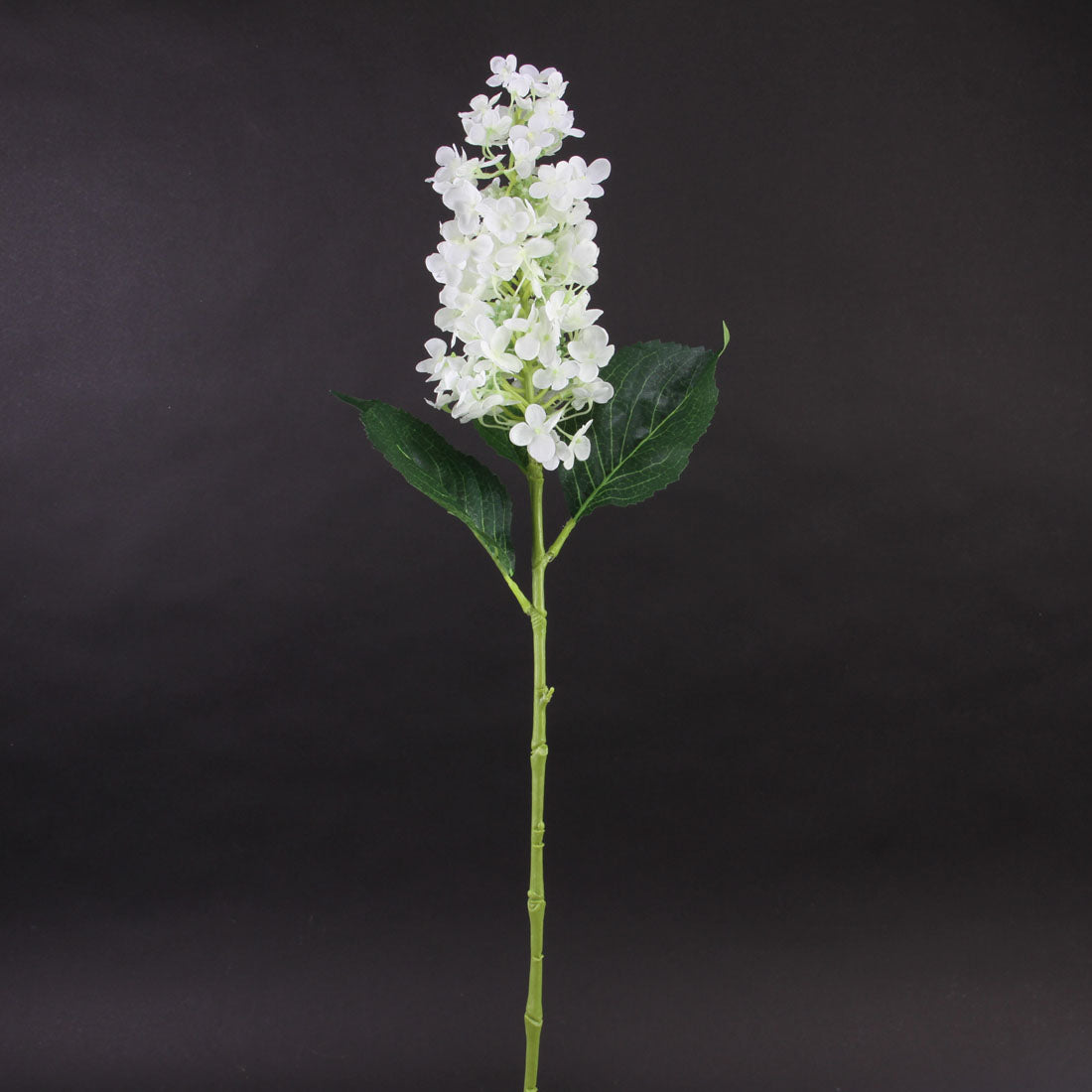 33"CONE HYDRANGEA STEM WHT