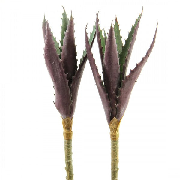 9.5"ALOE VERA 2PC/BG RED/GRN