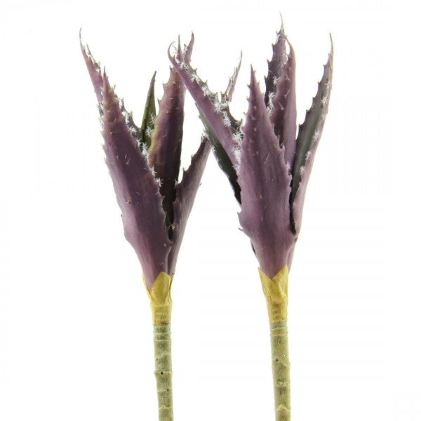 9"ALOE VERA 2PC/BG PURPLE