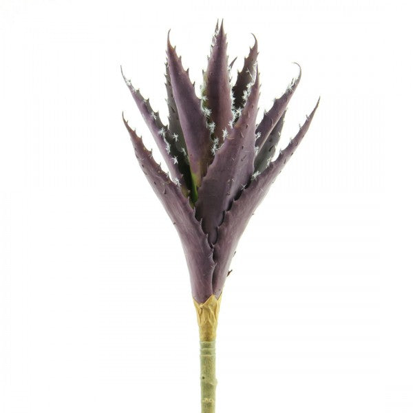 9"ALOE VERA PURPLE