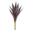 9"ALOE VERA PURPLE