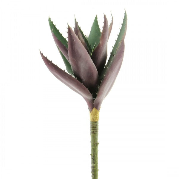 16"ALOE VERA PURPLE