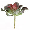 7"SUCCULENT RED