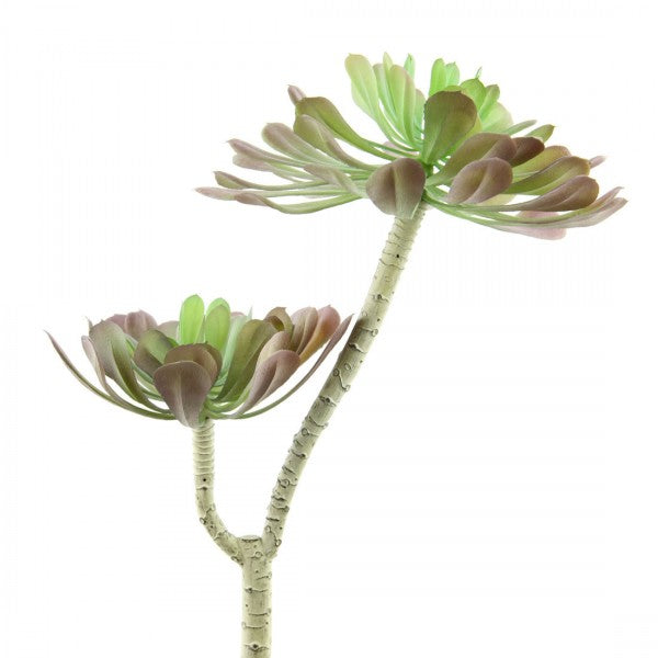 11.5"SUCCULENT X2 LAVENDER