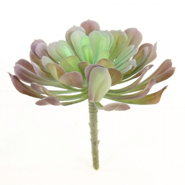 6"SUCCULENT LAVENDER