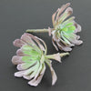 5"SUCCULENT 2PC/BG LAVENDER