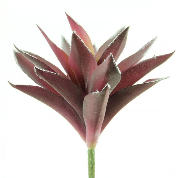 9.5"ALOE VERA PURPLE