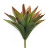 9.5"ALOE VERA GRN/RED