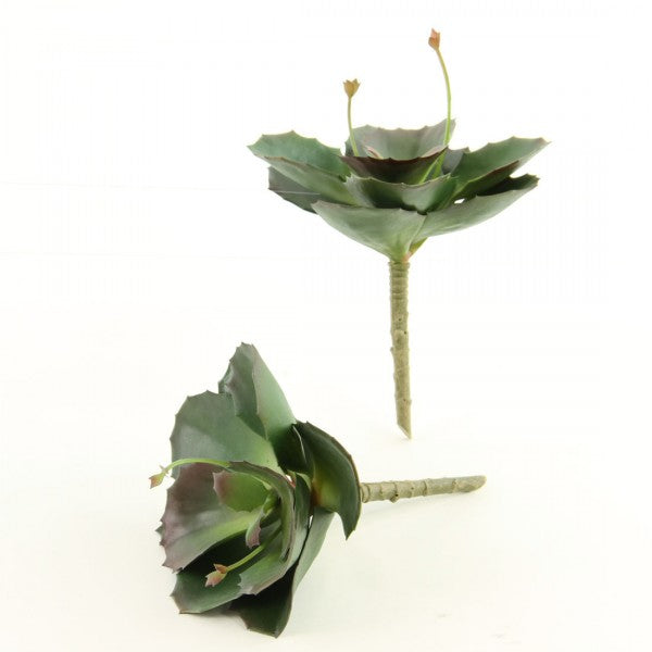 8.5" SUCCULENT 2PC/BG