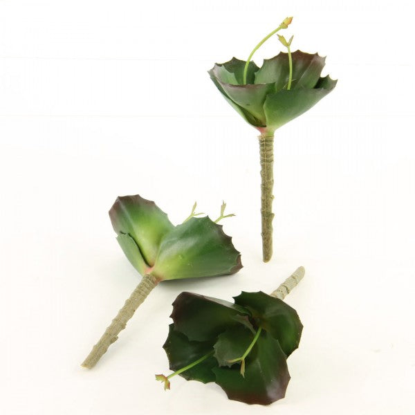 7.5"SUCCULENT 3PC/BG DK.GRN