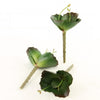 7.5"SUCCULENT 3PC/BG DK.GRN