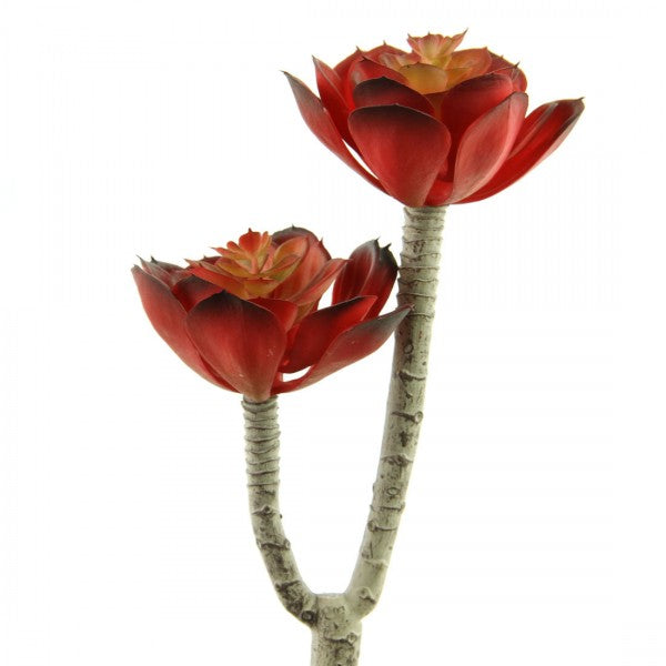 8.5"SUCCULENT X2 RED