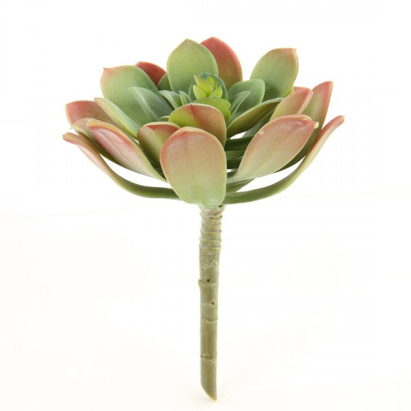 6.5"SUCCULENT GREEN