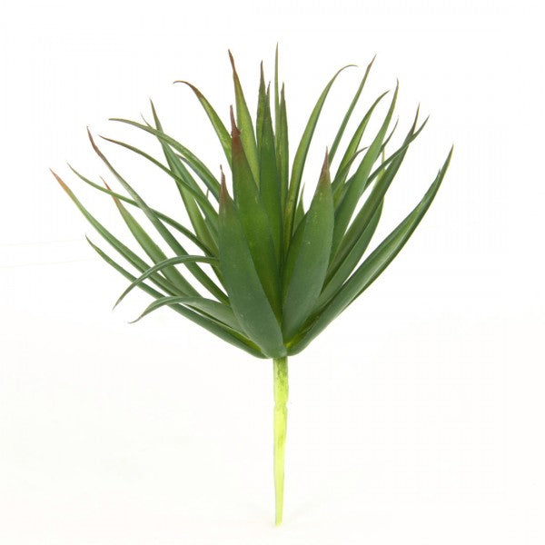 7" SUCCULENT GREEN