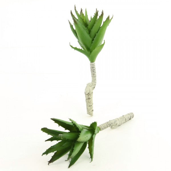 8.5"SUCCULENT SNGLE HEAD 2/BG