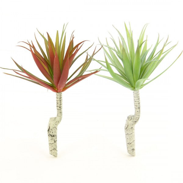 8"SUCCULENT SINGLE STEM 2/BG