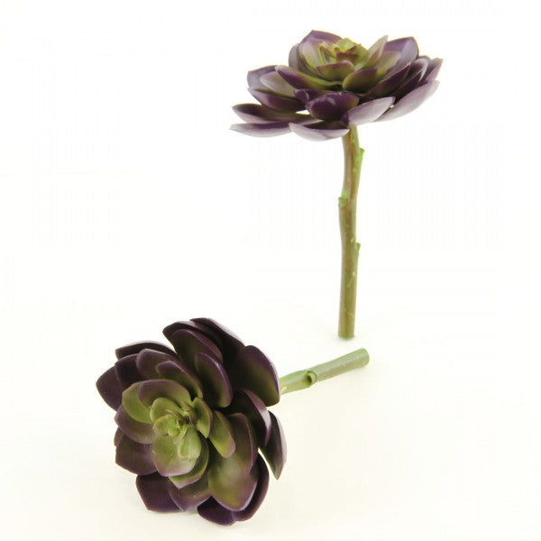5"SUCCULENT PICK 2/BG
