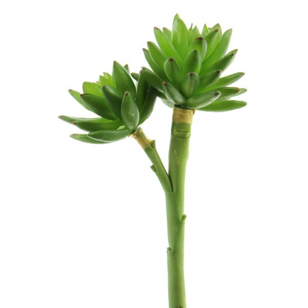 9"SUCCULENT PICK