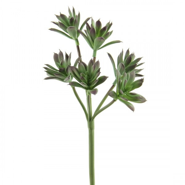 12"SUCCULENT PICK X6