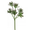 12"SUCCULENT PICK X6