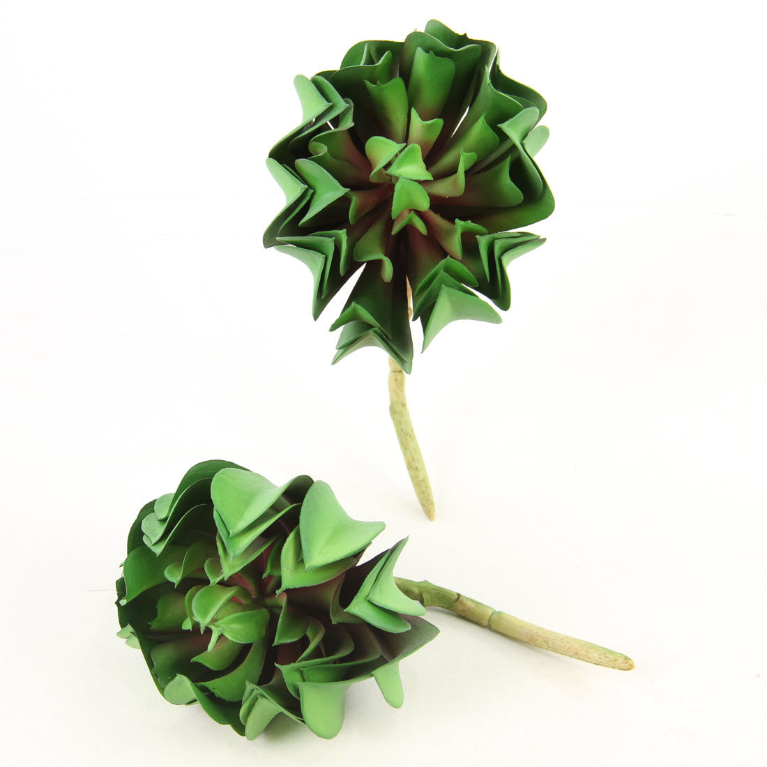6" SUCCULENT 2/BG A25