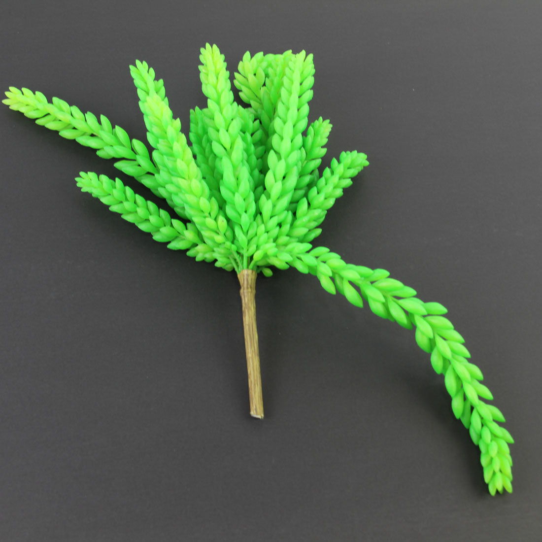 8.5" SUCCULENT STEM
