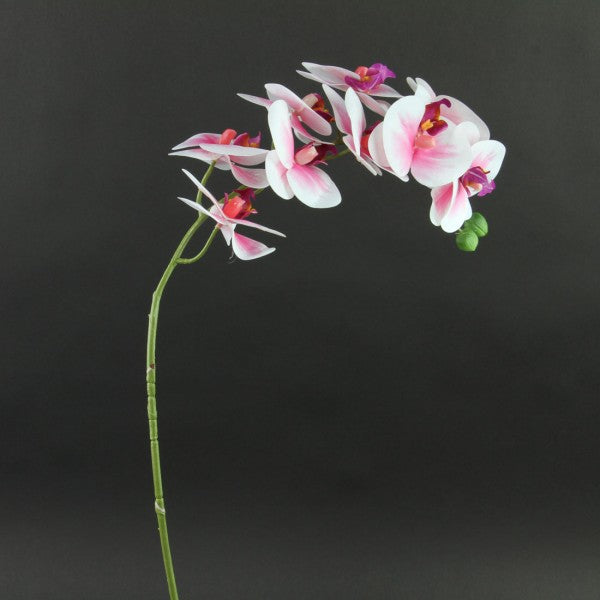32"SOFT TOUCH SINGLE STEM