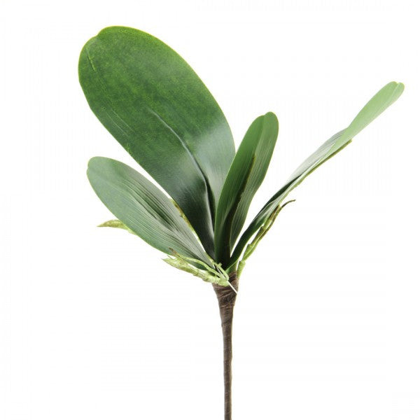 9.5"ORCHID LEAF X4 GREEN